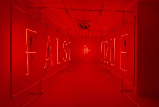 True&False-isms_ - NEWS | CHRONIC